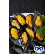 Viande de moules bleue congelée de fruits de mer avec demi-coquille